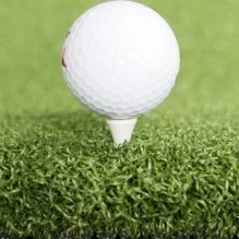 Commercial 4 Arturf Golf Tee Grass Small