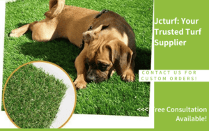 Césped artificial: seguridad térmica para las patas de los perros