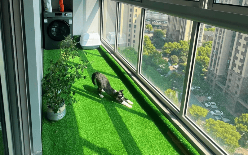 Guía completa para la limpieza del césped artificial 3 Gato estirándose en un balcón soleado cubierto de césped artificial.