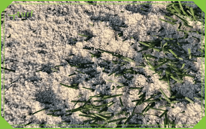 How Often Should You Add Sand to Artificial Grass? 1 Close-up of artificial grass with silica sand infill used for shock absorption and stability
