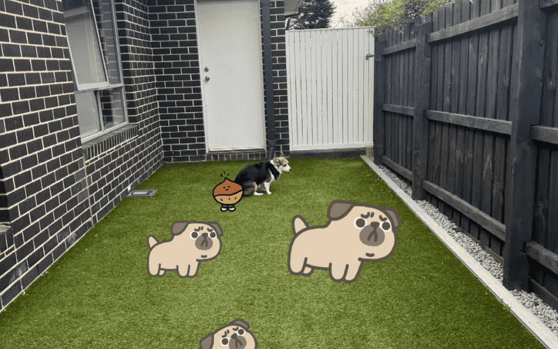 Guía completa para la limpieza del césped artificial 2 Perro en césped artificial del patio trasero utilizado como zona de baño para mascotas
