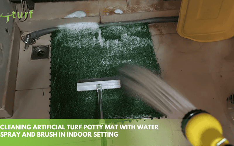 Turf Pet Odor Removal: Methods, Cost and Prevention 1 cleaning artificial turf potty mat with water spray and brush in indoor setting