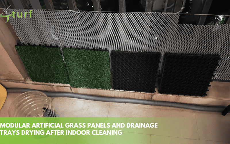 Turf Pet Odor Removal: Methods, Cost and Prevention 2 modular artificial grass panels and drainage trays drying after indoor cleaning