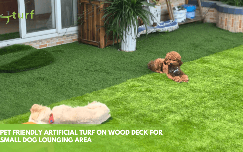 ¿Se puede poner césped sobre una terraza de madera? 2 Césped artificial apto para mascotas sobre una plataforma de madera para una zona de descanso para perros pequeños.
