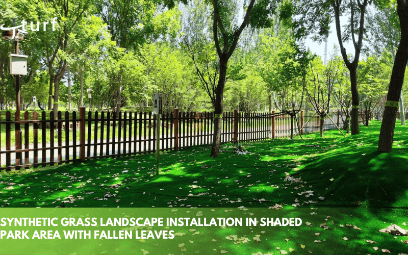 Los mejores consejos para mantener el césped artificial fresco todo el año 1 Instalación paisajística de césped sintético en una zona de parque sombreada con hojas caídas.